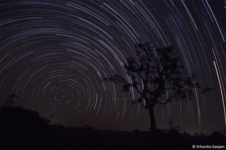 4.Startrails_10mm_N_Tree_H_Org