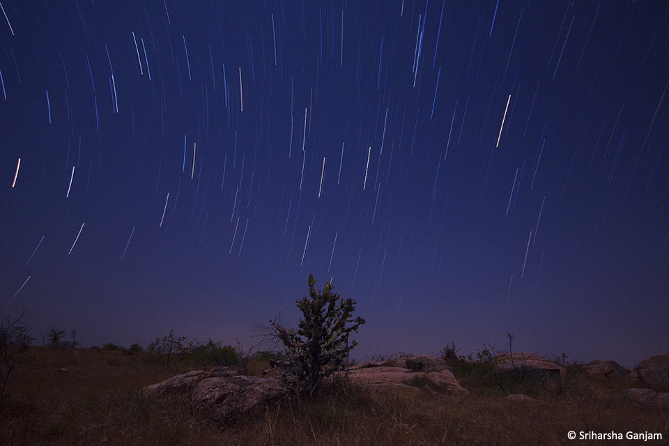 5.Startrails_10mm_E_Cacti