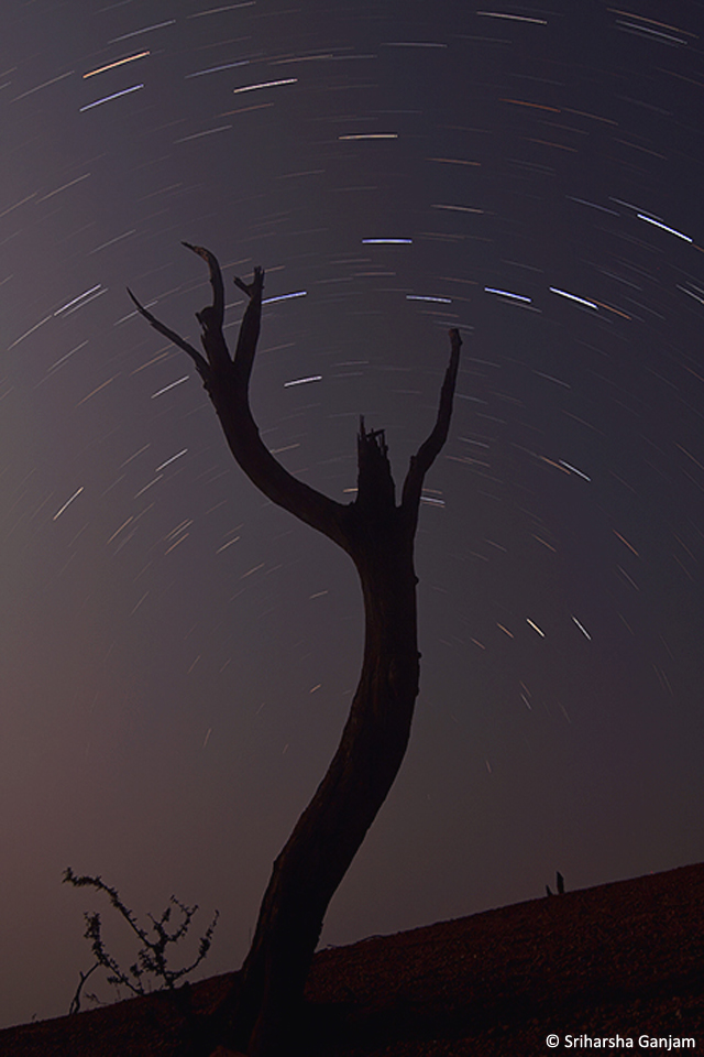6.Startrails
