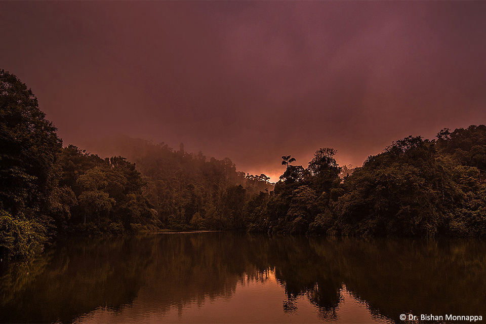 Landscape-1