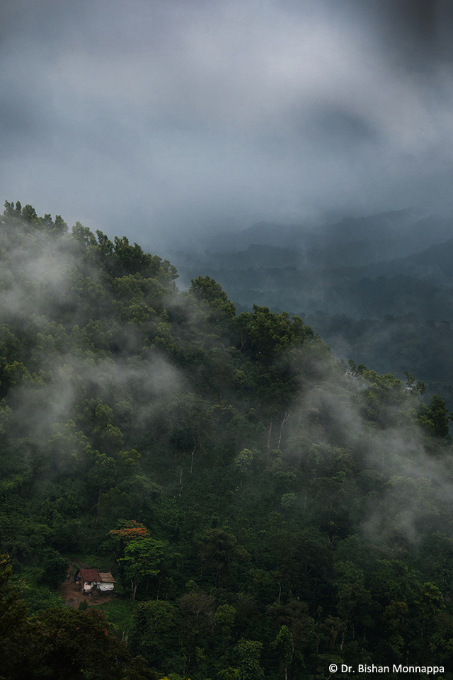 Landscape-2