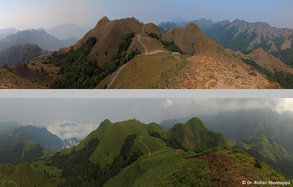 Landscape composite_rev 1