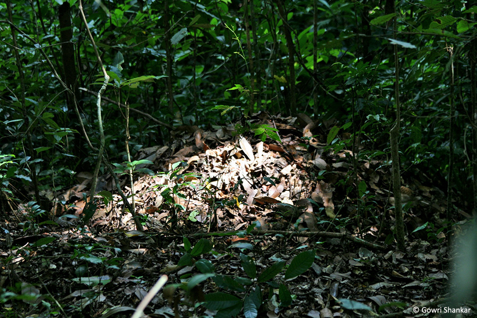 9_Nest Light(1)