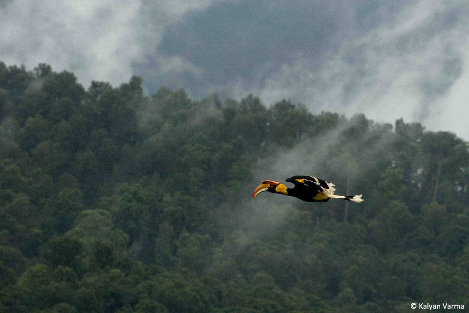 1_KalyanVarma_Valparai_960x640