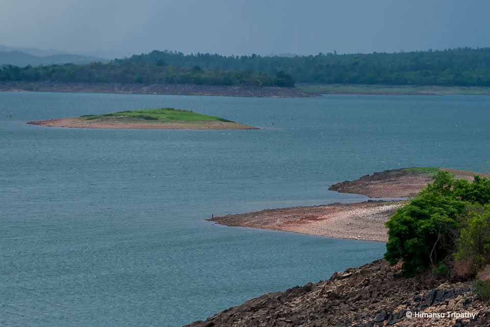 River Tern island