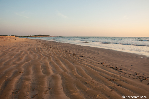 View_of_the_beach_byndoor