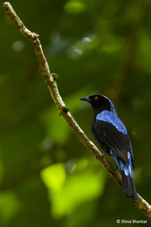 Image 09