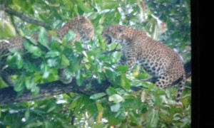 IMG-20150514-WA0007