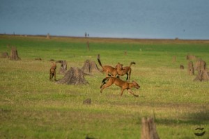 IMG-20150710-WA0000