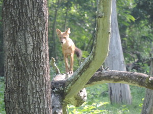 Picture 2170