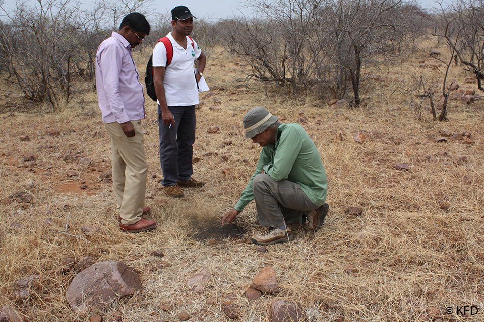 Chinkara story n1