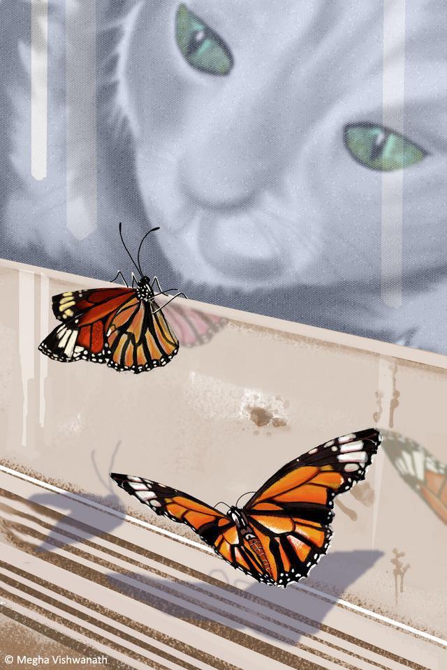 14StripedTiger