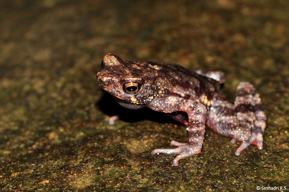 6.Male