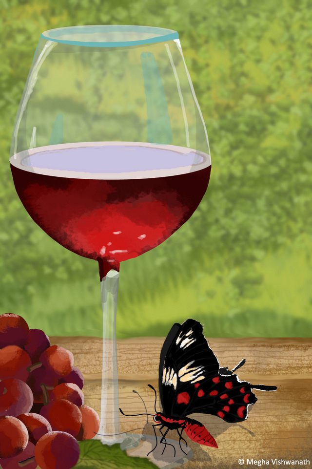 9CrimsonRose