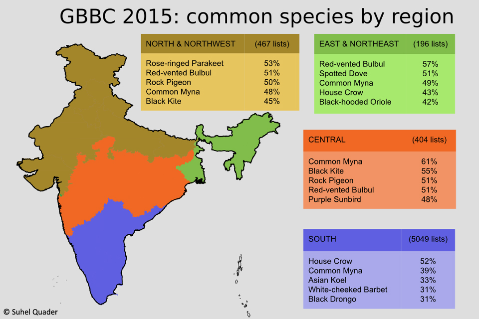 GBBC-India 2015 Summary 
