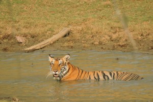 IMG-20160208-WA0014