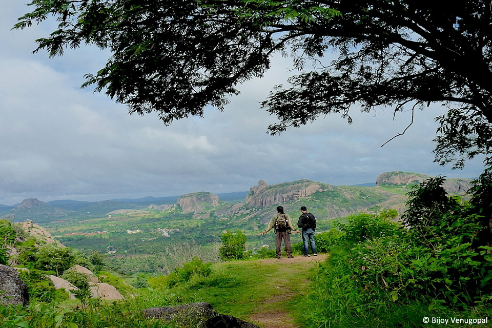 1.View