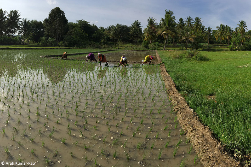 arkavathi_women_field