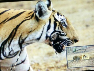 IMG_20160414_103459