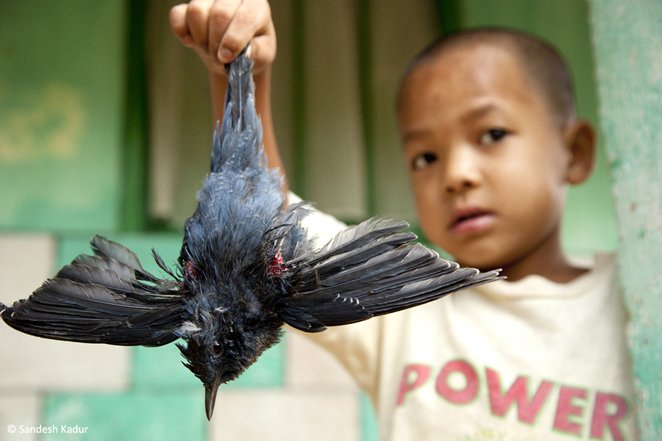 BoyWtBird_meghalaya