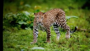 IMG-20160625-WA0036