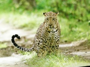 IMG_20160616_111300