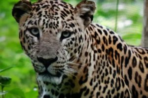 IMG_20160624_114151