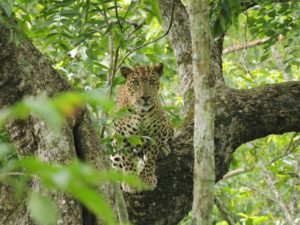 IMG-20160718-WA0004