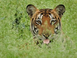 IMG-20160807-WA0041