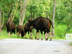IMG-20160808-WA0015