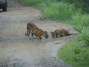 IMG-20160814-WA0045