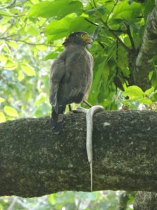 IMG-20160821-WA0030