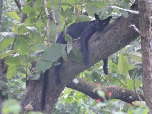 IMG-20160822-WA0012