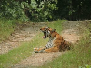 img-20160920-wa0007