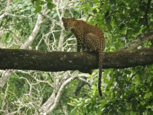 img-20160928-wa0054