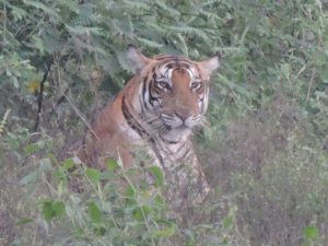 img-20160929-wa0042