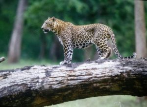 img_20160922_193631