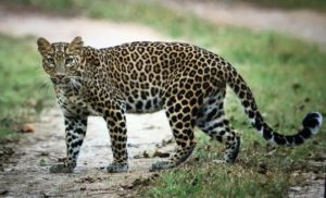 img_20160923_202553