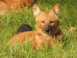 img-20160930-wa0029