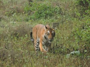 img-20161001-wa0009