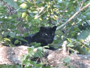 img-20161006-wa0024