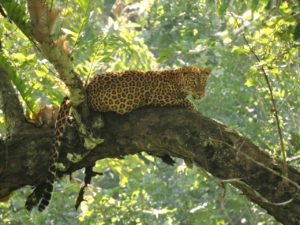 img-20161008-wa0000