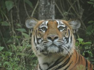 img-20161017-wa0007