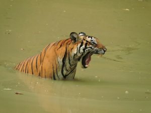 img-20161021-wa0185
