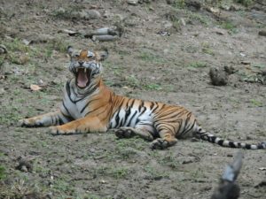 img-20161023-wa0044