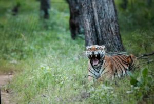 img_20161001_195036