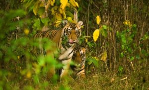 img_20161101_113829