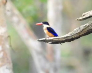 img_20161105_231722