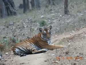 img-20161202-wa0038